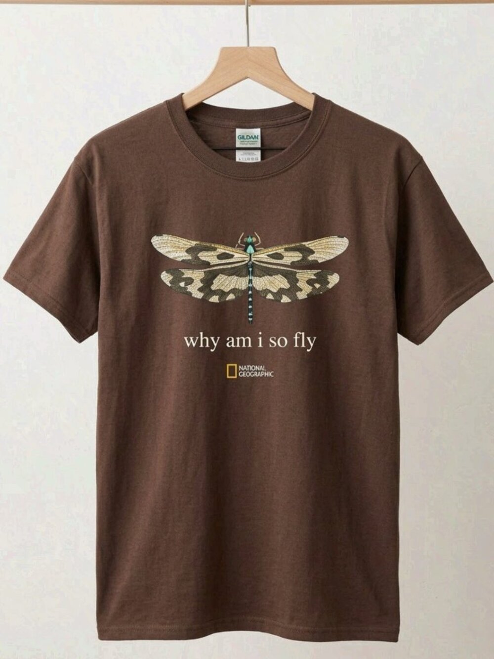 Brown Dragonfly Graphic T Shirt Why Am I So Fly Nature Inspired Tee Reprint